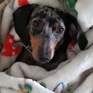 Meet your Posher, Regina